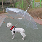 Creative Leash Puppy Raincoat | Transparent Design with Stainless Steel Leash