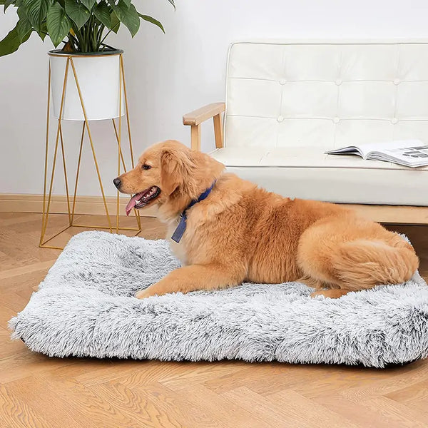 Plush Washable Dog Bed | Cozy, Durable & Non-Slip