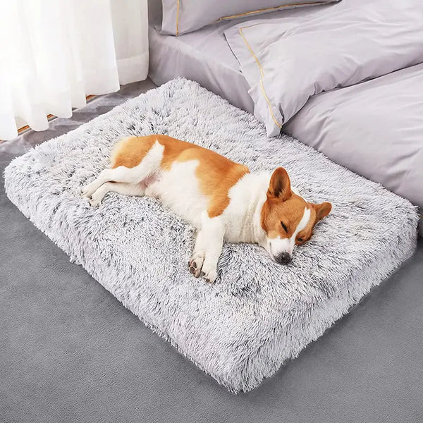 Plush Washable Dog Bed | Cozy, Durable & Non-Slip