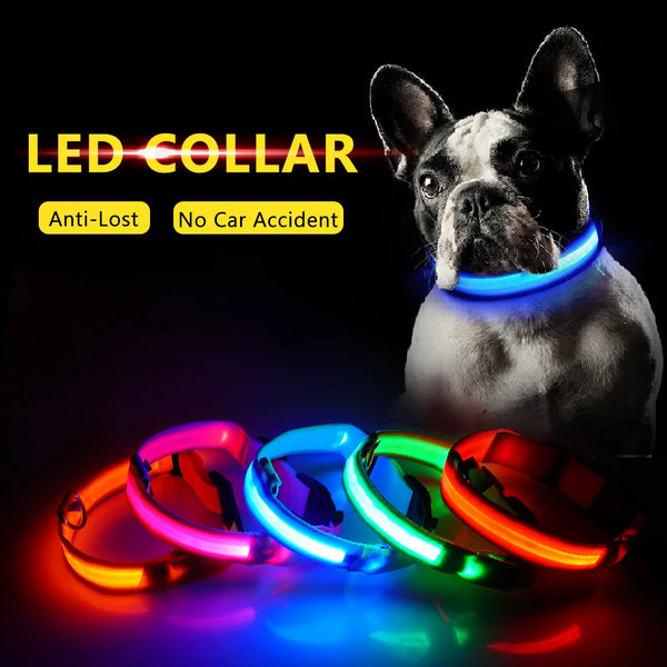 LED Dog Collar | Anti-Lost, Rechargeable & Bright for Night Safety