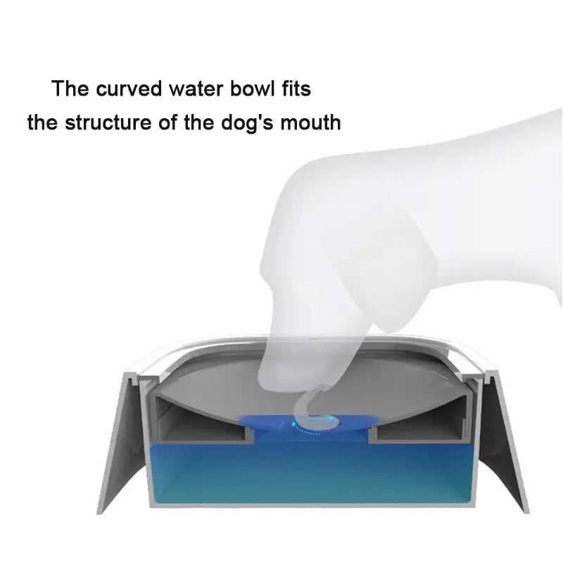 No-Spill Pet Water Bowl | Anti-Splash & Mess-Free Drinking