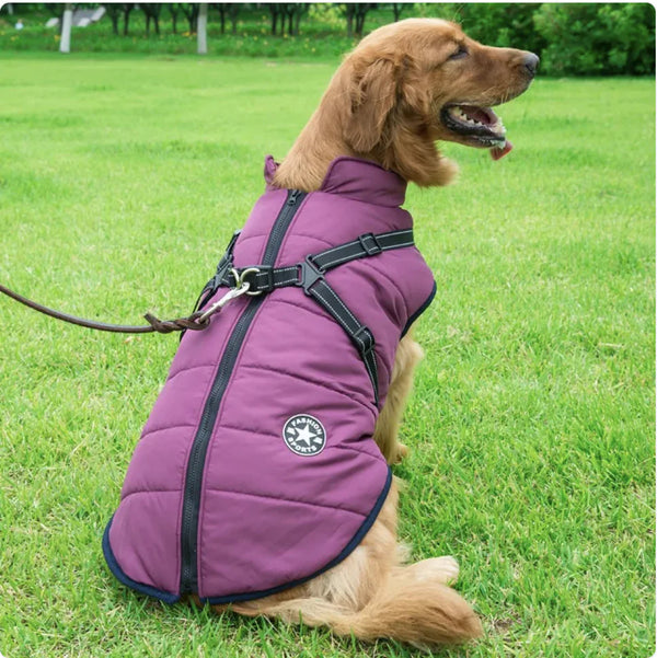 Dog Reflective Waterproof Coat | Autumn & Winter Jacket for Cold Weather